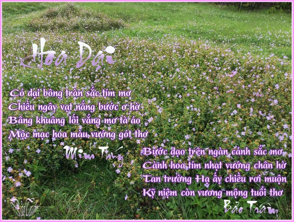 Hoa dại – VBHNVDBHK